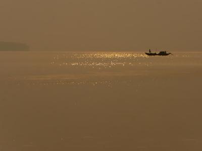 Sundarbans Wildlife Photography Gallery