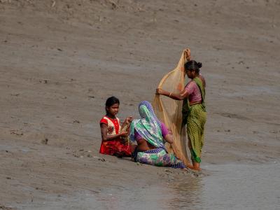 Sundarbans Wildlife Photography Gallery
