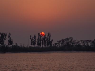 Sundarbans Wildlife Photography Gallery